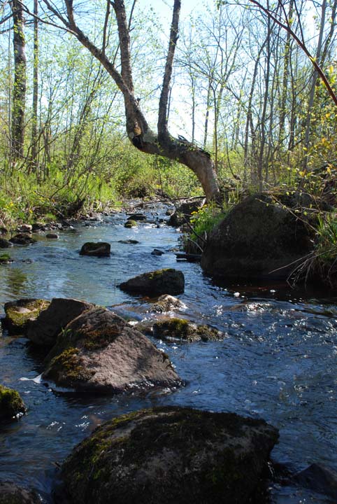 Gooseberry River